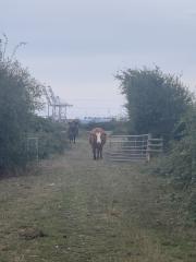 Stand off!